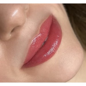 Maquillage permanent des lèvres complètes 